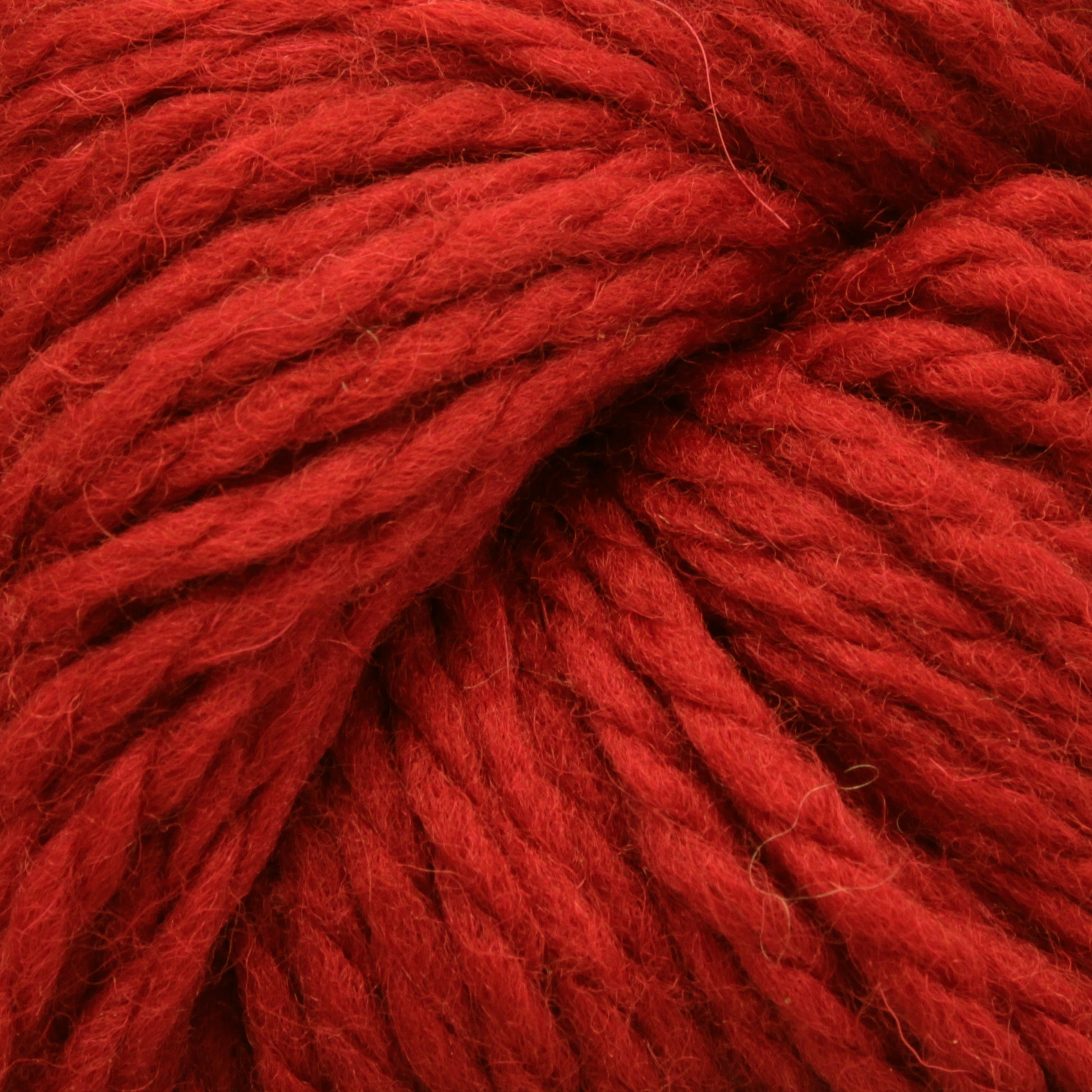 A close-up image of thick, red Cascade Eco and Cascade Eco Plus Wool Yarn from Cascade Yarns, tightly coiled. The texture of the yarn is clearly visible, showcasing its soft and fluffy fibers perfect for felted knitting projects.