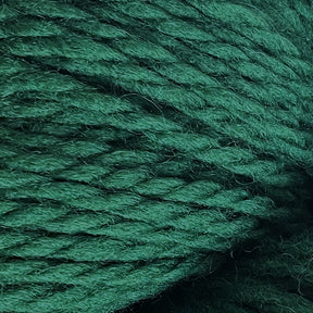 Close-up image of Cascade Eco and Cascade Eco Plus Wool Yarn by Cascade Yarns, showcasing the texture and individual strands twisted together with a plush and soft appearance. The yarn has a rich, deep green color and appears well-made for knitting or crocheting projects.