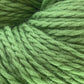 Here's a close-up of Cascade Eco and Cascade Eco Plus Wool Yarn by Cascade Yarns. The vibrant green yarn features tightly twisted, thick strands that form a cohesive bundle. Made from Peruvian Highland wool, this Eco yarn has a soft and slightly fuzzy texture with visible individual fibers. The green color is uniform throughout the yarn.